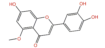 3',4',7-Trihydroxy-5-methoxyflavone